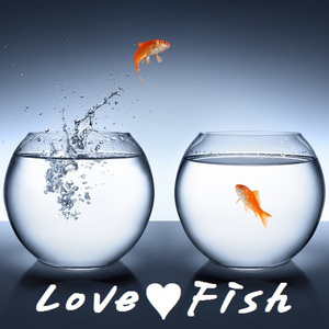 첫 만남 (The first date)