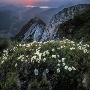 폭풍 속으로(Into the Storm)