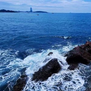 青岛港（my city）