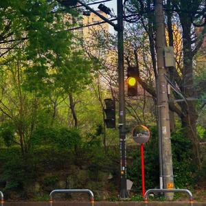 八月の詩 (8월의 시)