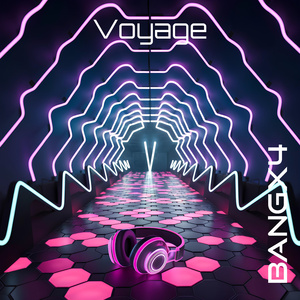 Voyage