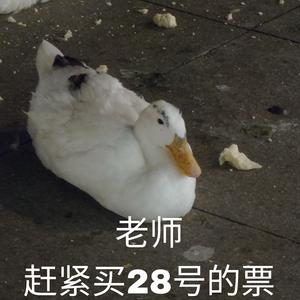 谁还没买28号西安专场的票