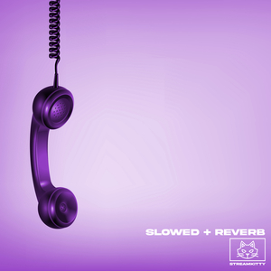 Give You Up (slowed + reverb)