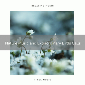 Experience Hard Relax with Virgin Nature Tunes for Relax pt. 1