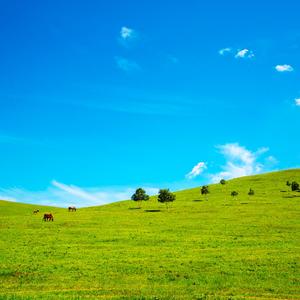 画你（二胡版）