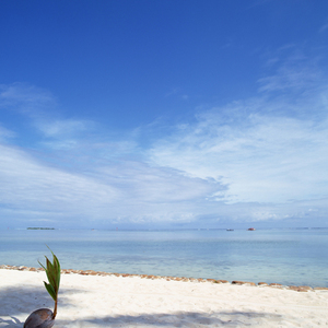 北東からフレドリカとワイアットが金星へ願いを込めてボサノバ音楽を目覚めの朝に奏でたバックグラウンドミュージック