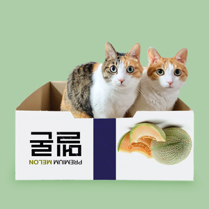 고양이는 상자를 좋아해 (Feat. 카카, 짜짜)