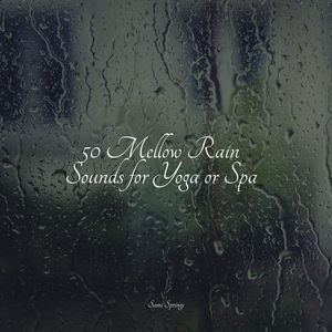 Water, Creek, Stream