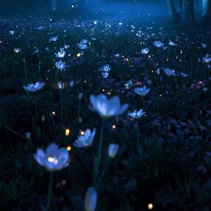Fairy Tell