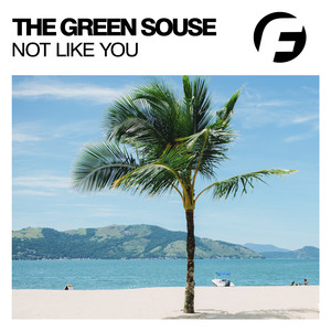 Not Like You (Original Mix)