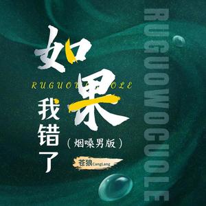 如果我错了 (烟嗓男版)