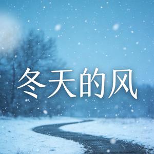 冬天的风