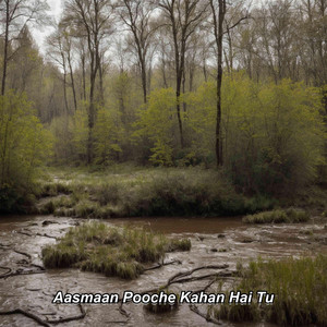 Aasmaan Pooche Kahan Hai Tu