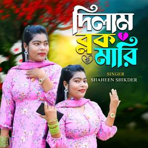 দিলাম ব্লক মারি