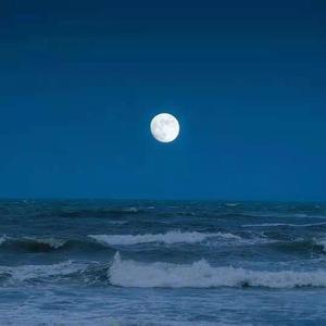 月光下有海