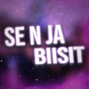 Se En Ja Biisi