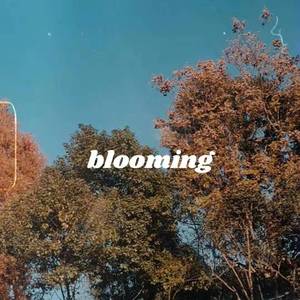 Blooming