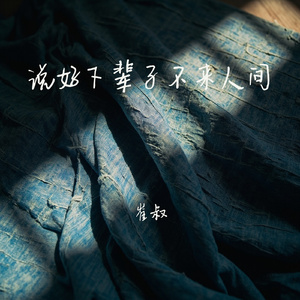 说好下辈子不来人间