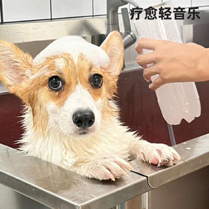 公园漫步放松纯音乐・风筝高飞的自由