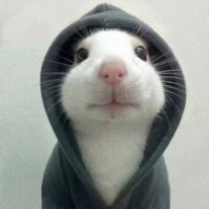 寂寞沙洲冷(周传雄)