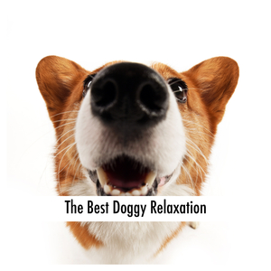 Ultimate Puppy Chillout Sounds