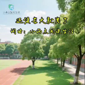 还没长大就老了 伴奏