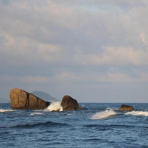 凌晨烂在海里的花