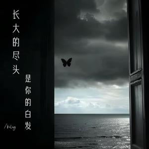 长大的尽头是你的白发（伤感怀念BGM）