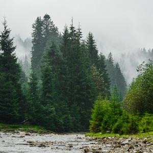 江南曲（钢琴）