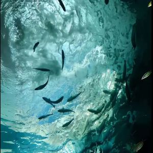 现在 你才不幸福