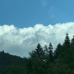 难以出口-弥豆子