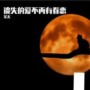 遗失的爱不再有眷恋