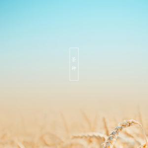 音阙诗听-芒种(Xi Bootleg)（Xi remix）