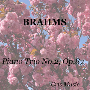 Piano Trio No.2, Op.87, 2. Andante con moto