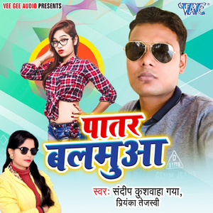 Aab Pachhatane Se Kya Hoga
