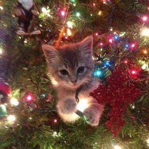 The Letter (nightcore)