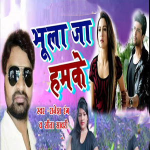 Bhoola Ja Hamke