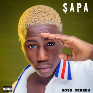 Sapa