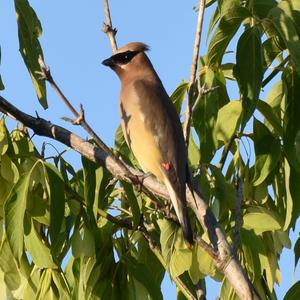 Walk to Ambleside Cottage
