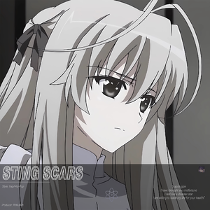 STING SCARS（刺痛疤痕）