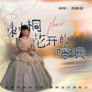 刺桐花开的暗暝