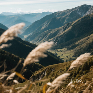 山谷的风