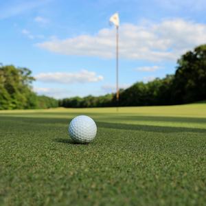 백돌이 나가신다 (feat. 청담동 도깨비)