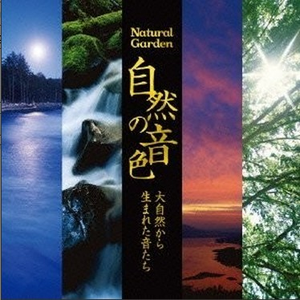 四尾連湖 夜明けの森