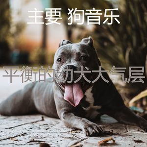 抚慰的小狗回忆