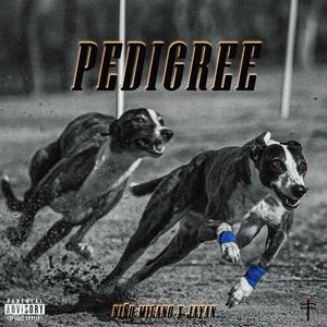 Pedigree
