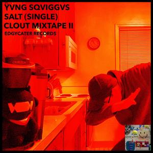 SALT (feat. YVNG SQVIGGVS)