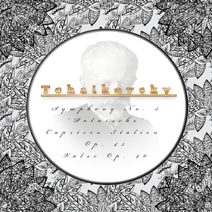 Symphony No. 6 in B Minor, Op. 74 "Pathétique":IV. Adagio lamentoso