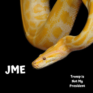 Trump Is Not My President