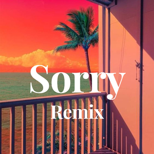 Sorry - Remix